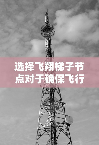 选择飞翔梯子节点对于确保飞行器的稳定飞行至关重要。以下是分步的选择指南 选择飞翔梯子节点对于确保飞行器的稳定飞行至关重要。以下是分步的选择指南