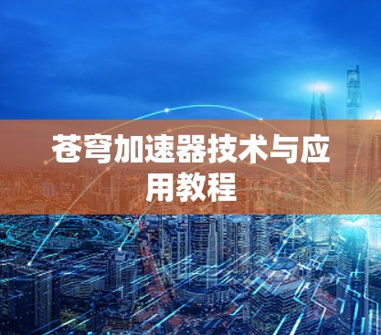 苍穹加速器技术与应用教程 苍穹加速器技术与应用教程