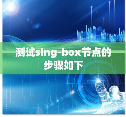测试sing-box节点的步骤如下 测试sing-box节点的步骤如下