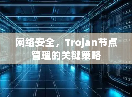 网络安全,Trojan节点管理的关键策略 网络安全,Trojan节点管理的关键策略
