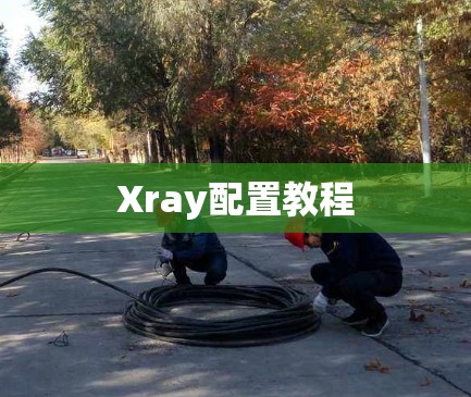 Xray配置教程 Xray配置教程