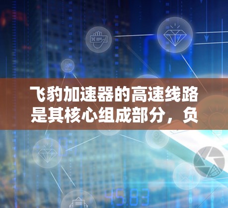 飞豹加速器的高速线路是其核心组成部分，负责加速粒子达到极高的能量。以下是对高速线路的详细分析