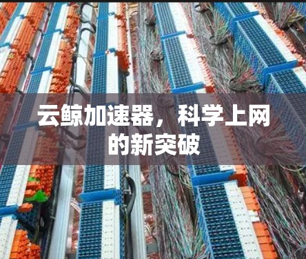 云鲸加速器,科学上网的新突破 云鲸加速器,科学上网的新突破