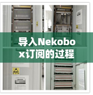 导入Nekobox订阅的过程可能会因平台和具体情况有所不同,但以下是一些通用的步骤和注意事项,帮助你顺利完成订阅导入 导入Nekobox订阅的过程可能会因平台和具体情况有所不同,但以下是一些通用的步骤和注意事项,帮助你顺利完成订阅导入