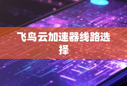 飞鸟云加速器线路选择 飞鸟云加速器线路选择