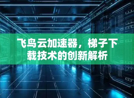 飞鸟云加速器,梯子下载技术的创新解析 飞鸟云加速器,梯子下载技术的创新解析