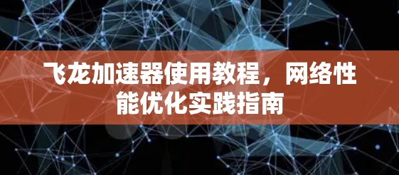 飞龙加速器使用教程,网络性能优化实践指南 飞龙加速器使用教程,网络性能优化实践指南