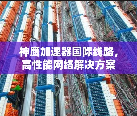 神鹰加速器国际线路,高性能网络解决方案 神鹰加速器国际线路,高性能网络解决方案