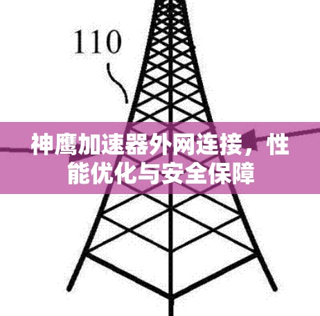 神鹰加速器外网连接，性能优化与安全保障