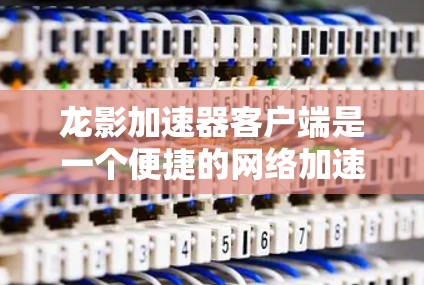 龙影加速器客户端是一个便捷的网络加速工具,旨在提升您的互联网连接速度和稳定性。以下是使用该客户端的分步指南 龙影加速器客户端是一个便捷的网络加速工具,旨在提升您的互联网连接速度和稳定性。以下是使用该客户端的分步指南
