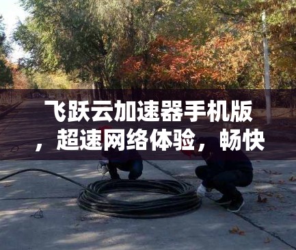 飞跃云加速器手机版，超速网络体验，畅快浏览