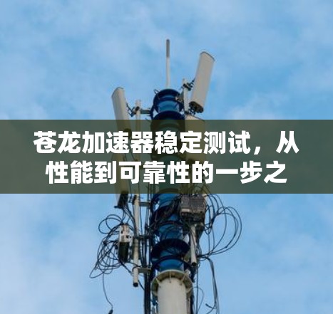 苍龙加速器稳定测试,从性能到可靠性的一步之上 苍龙加速器稳定测试,从性能到可靠性的一步之上
