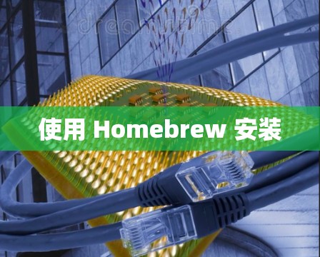 使用 Homebrew 安装 使用 Homebrew 安装