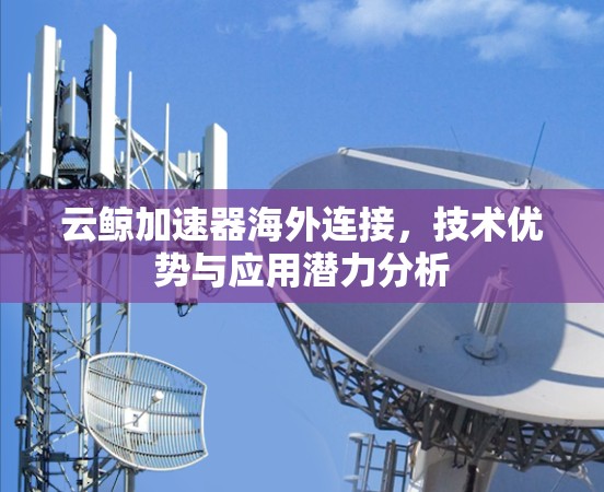 云鲸加速器海外连接,技术优势与应用潜力分析 云鲸加速器海外连接,技术优势与应用潜力分析
