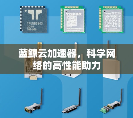 蓝鲸云加速器,科学网络的高性能助力 蓝鲸云加速器,科学网络的高性能助力