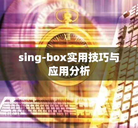sing-box实用技巧与应用分析 sing-box实用技巧与应用分析