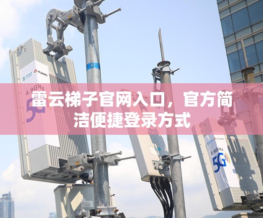 雷云梯子官网入口,官方简洁便捷登录方式 雷云梯子官网入口,官方简洁便捷登录方式