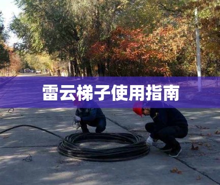 雷云梯子使用指南 雷云梯子使用指南