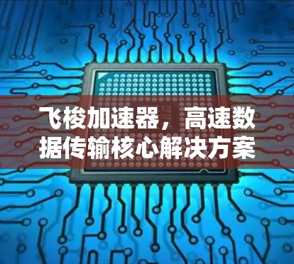 飞梭加速器,高速数据传输核心解决方案 飞梭加速器,高速数据传输核心解决方案
