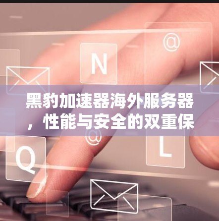 黑豹加速器海外服务器,性能与安全的双重保障 黑豹加速器海外服务器,性能与安全的双重保障