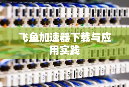 飞鱼加速器下载与应用实践 飞鱼加速器下载与应用实践