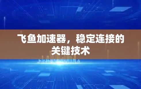 飞鱼加速器,稳定连接的关键技术 飞鱼加速器,稳定连接的关键技术