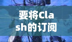 要将Clash的订阅转换到其他工具(如比特币钱包)可以按照以下步骤进行 要将Clash的订阅转换到其他工具(如比特币钱包)可以按照以下步骤进行