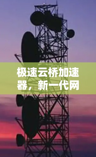 极速云桥加速器,新一代网络传输解决方案 极速云桥加速器,新一代网络传输解决方案