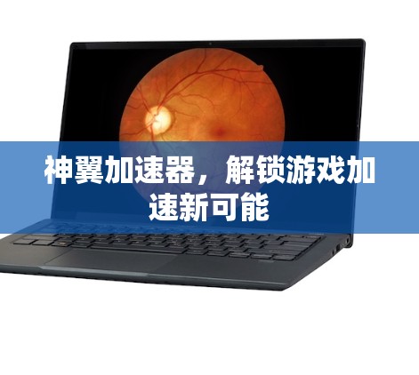 神翼加速器,解锁游戏加速新可能 神翼加速器,解锁游戏加速新可能