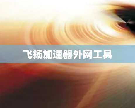 飞扬加速器外网工具 飞扬加速器外网工具