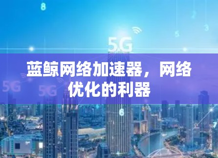 蓝鲸网络加速器,网络优化的利器 蓝鲸网络加速器,网络优化的利器