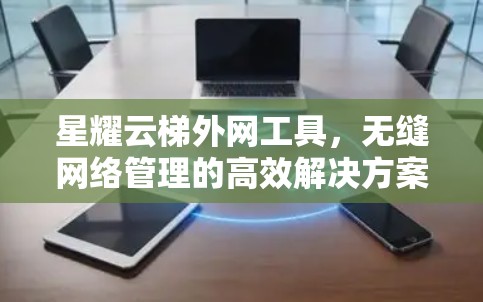 星耀云梯外网工具,无缝网络管理的高效解决方案 星耀云梯外网工具,无缝网络管理的高效解决方案