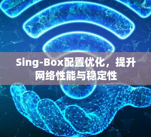 Sing-Box配置优化,提升网络性能与稳定性 Sing-Box配置优化,提升网络性能与稳定性