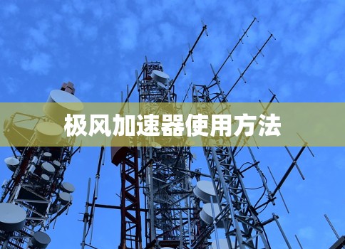 极风加速器使用方法 极风加速器使用方法