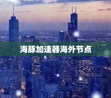 海豚加速器海外节点 海豚加速器海外节点
