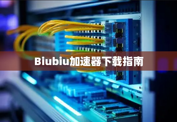 Biubiu加速器下载指南 Biubiu加速器下载指南