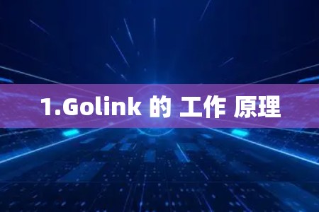 1.Golink 的 工作 原理 1.Golink 的 工作 原理