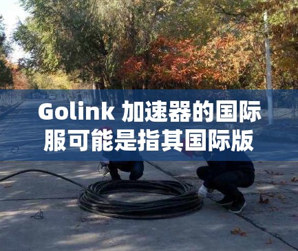 Golink 加速器的国际服可能是指其国际版本或国际服务器。如果你需要使用 Golink 的国际版本或国际服务器,通常可以通过官方网站或相关应用商店找到下载或安装方式 Golink 加速器的国际服可能是指其国际版本或国际服务器。如果你需要使用 Golink 的国际版本或国际服务器,通常可以通过官方网站或相关应用商店找到下载或安装方式