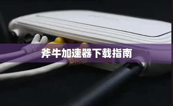 斧牛加速器下载指南 斧牛加速器下载指南