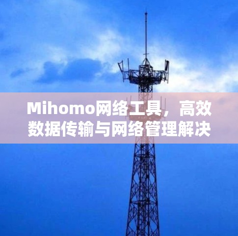 Mihomo网络工具,高效数据传输与网络管理解决方案 Mihomo网络工具,高效数据传输与网络管理解决方案