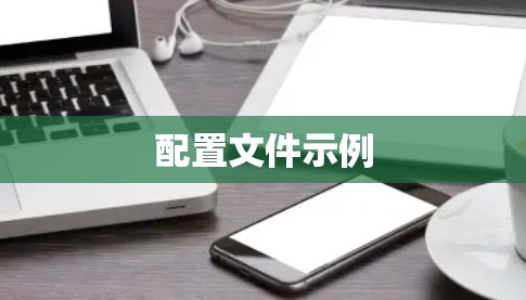 配置文件示例 配置文件示例