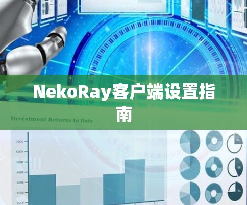 NekoRay客户端设置指南 NekoRay客户端设置指南