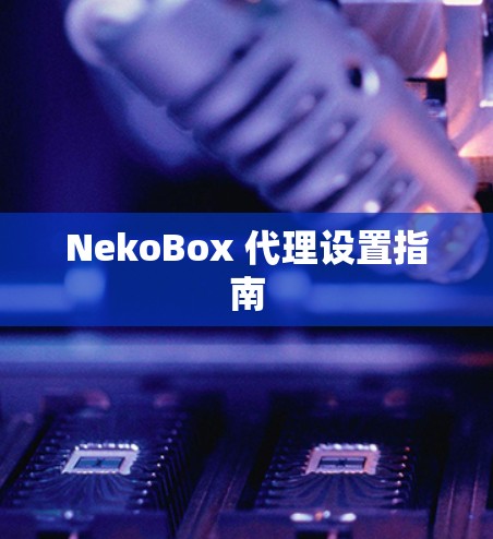 NekoBox 代理设置指南 NekoBox 代理设置指南