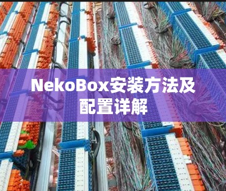 NekoBox安装方法及配置详解 NekoBox安装方法及配置详解