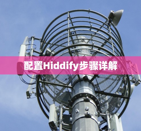 配置Hiddify步骤详解 配置Hiddify步骤详解