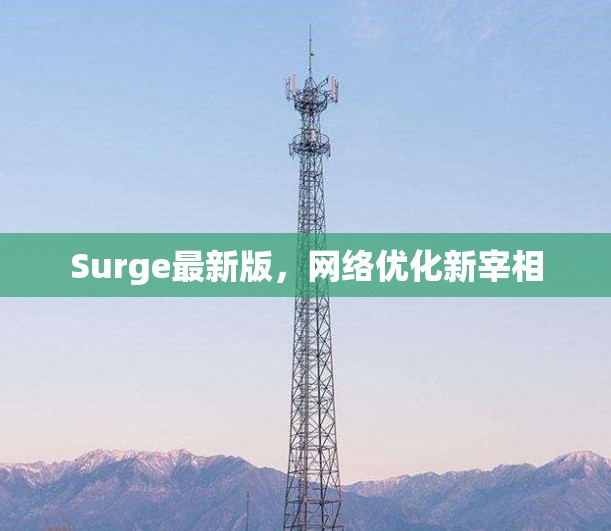 Surge最新版,网络优化新宰相 Surge最新版,网络优化新宰相