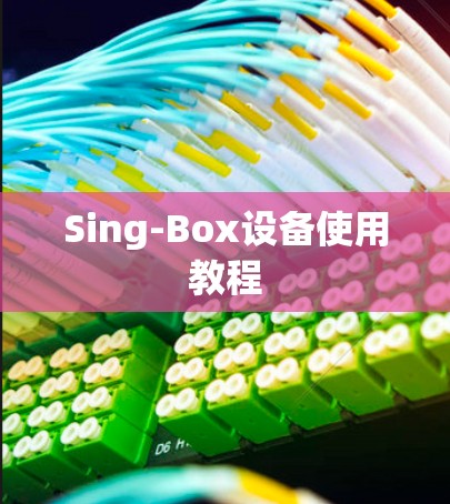 Sing-Box设备使用教程 Sing-Box设备使用教程