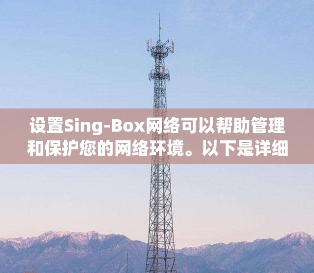 设置Sing-Box网络可以帮助管理和保护您的网络环境。以下是详细的步骤指南 设置Sing-Box网络可以帮助管理和保护您的网络环境。以下是详细的步骤指南
