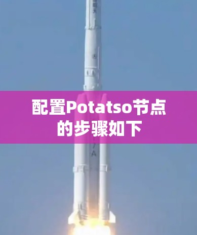 配置Potatso节点的步骤如下 配置Potatso节点的步骤如下