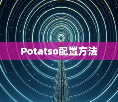 Potatso配置方法 Potatso配置方法